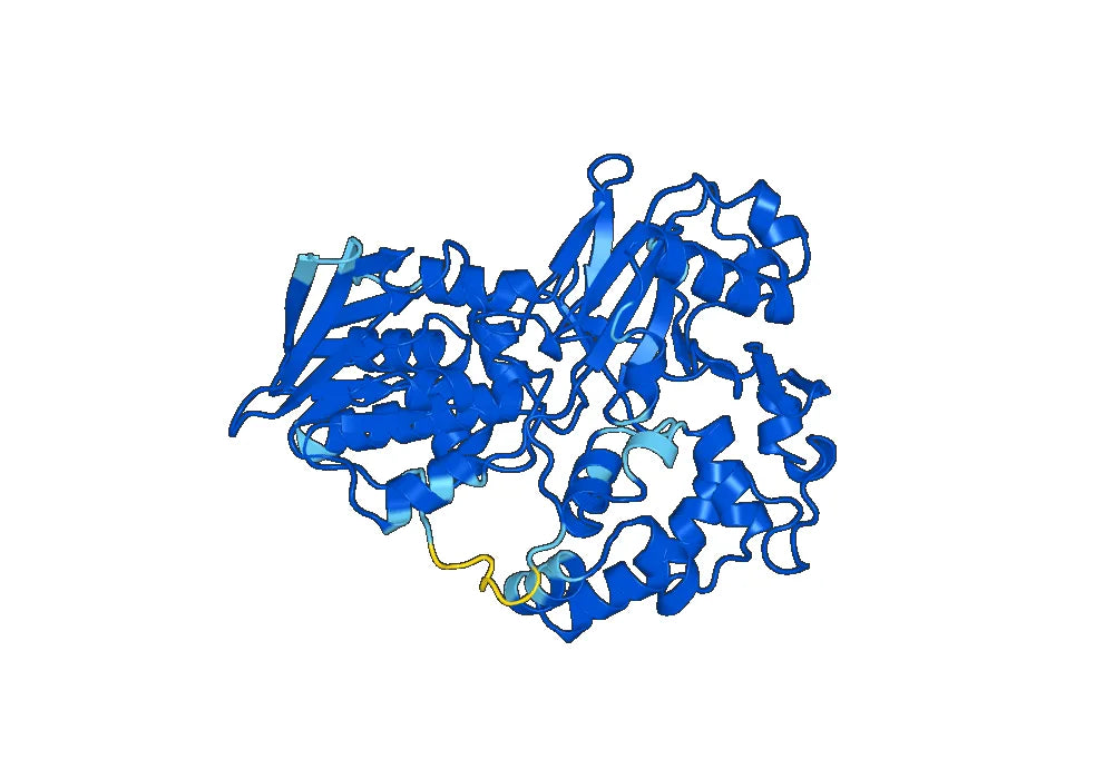 Recombinant Mouse IL4I1 Protein, N-His