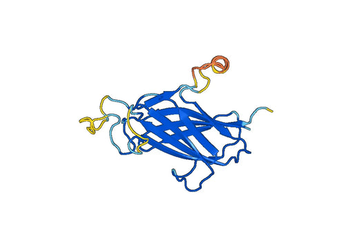 Recombinant Mouse JAG2 Protein, N-His