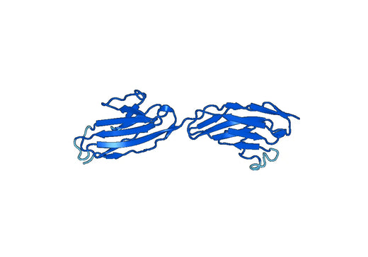 Recombinant Mouse JAM3 Protein, N-His