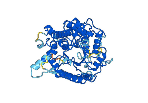 Recombinant Mouse KLB/Beta-klotho Protein, N-His
