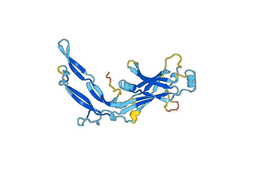 Recombinant Mouse LEFTY1 Protein, N-His