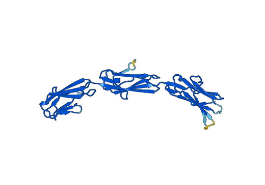 Recombinant Mouse LRIG1 Protein, N-His