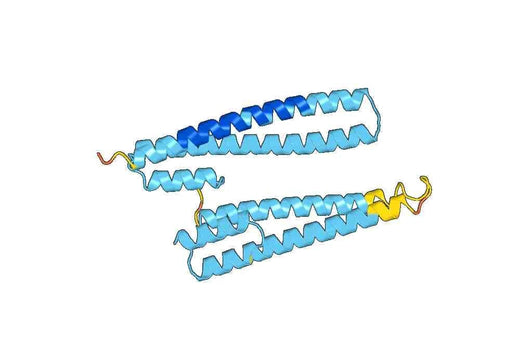 Recombinant Mouse LRPAP1 Protein, N-His