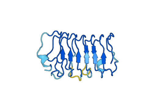 Recombinant Mouse LRRN4 Protein, N-His