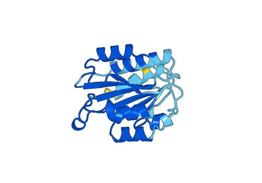 Recombinant Mouse MATN2 Protein, N-His