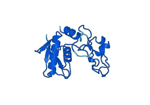 Recombinant Mouse MEP1A Protein, N-His