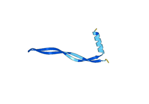 Recombinant Mouse MFAP5 Protein, N-His-SUMO