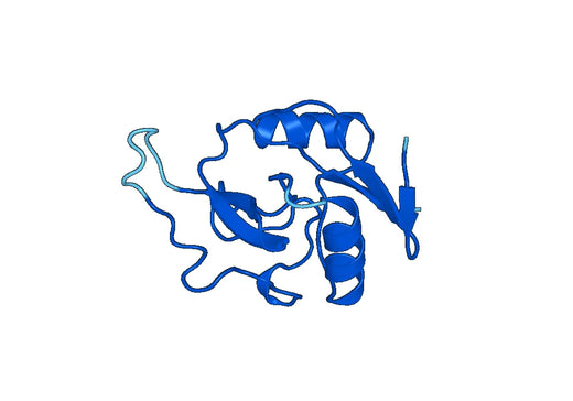 Recombinant Mouse Mgl2 Protein, N-His