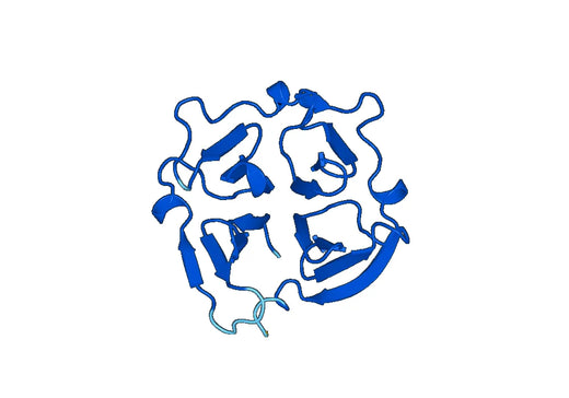Recombinant Mouse MMP12 Protein, N-His