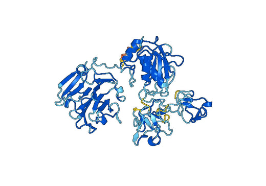 Recombinant Mouse MMP2 Protein, N-His