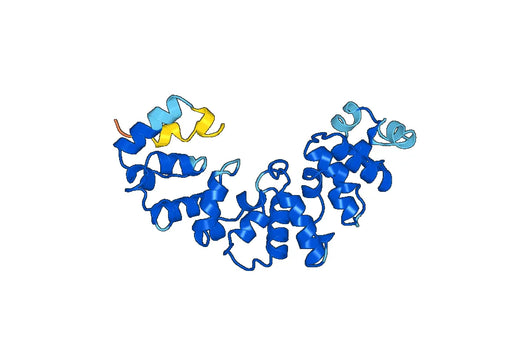 Recombinant Mouse MSLN/Mesothelin Protein, N-His