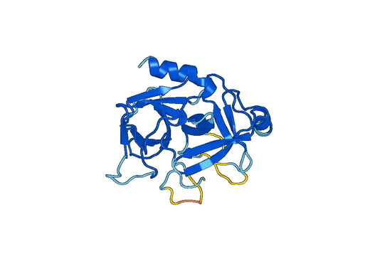 Recombinant Mouse MST1 Protein, N-His