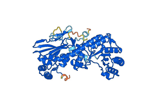 Recombinant Mouse NAMPT Protein, N-His
