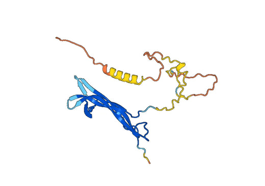 Recombinant Mouse NGF/Beta-NGF Protein, N-His