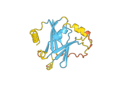 Recombinant Mouse NODAL Protein, N-His