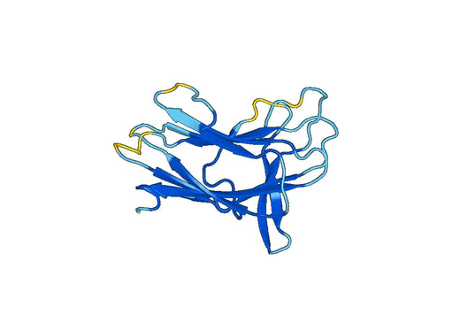 Recombinant Mouse NPNT Protein, N-His