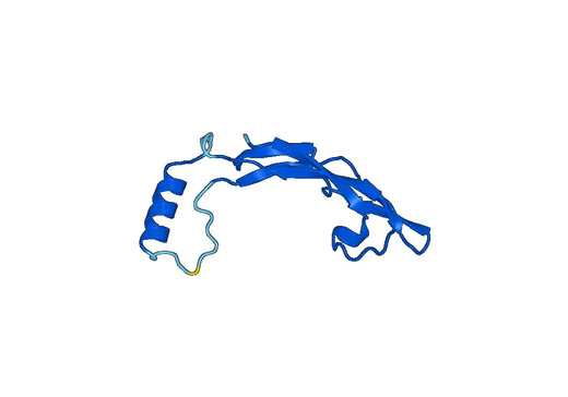 Recombinant Mouse NRTN Protein, N-His-SUMO
