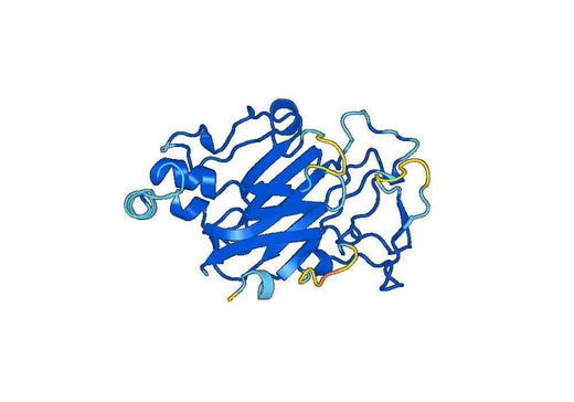 Recombinant Mouse NTNG2/Netrin-G2 Protein, N-His
