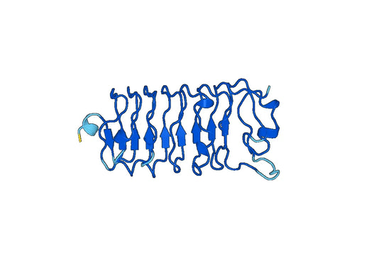 Recombinant Mouse OGN Protein, N-His