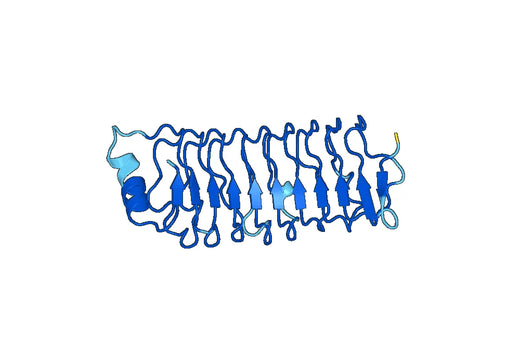 Recombinant Mouse OMG Protein, N-His