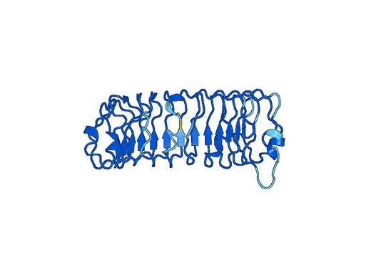 Recombinant Mouse Osteomodulin/OMD Protein, N-His