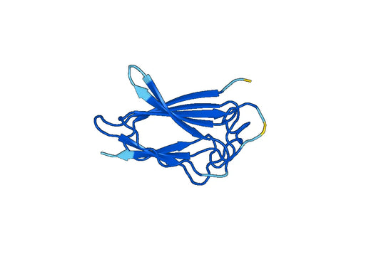 Recombinant Mouse PDGFD Protein, N-His