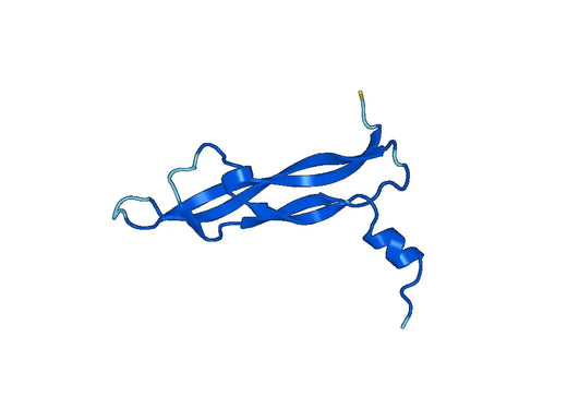 Recombinant Mouse PGF/PlGF/PLGF Protein, N-His-SUMO