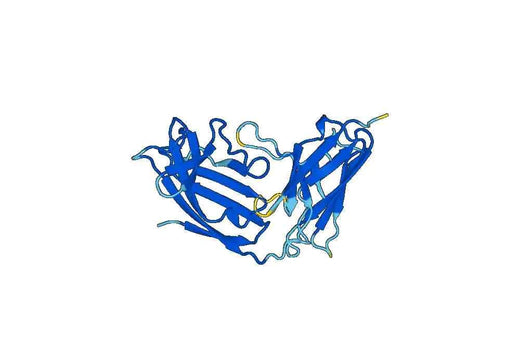 Recombinant Mouse PIGR Protein, N-His