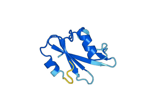 Recombinant Mouse PIK3R1/PI3-kinase p85-alpha Protein, N-His