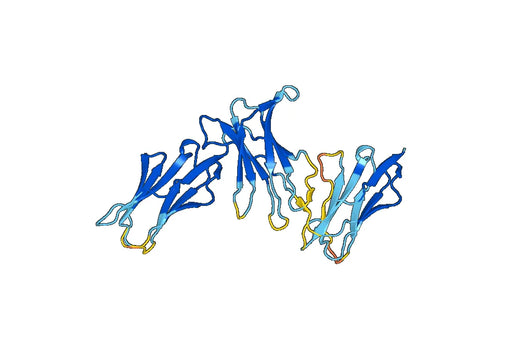 Recombinant Mouse Pirb/Lilrb3 Protein, N-His