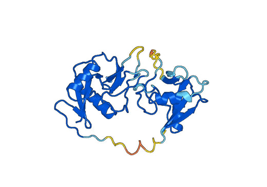 Recombinant Mouse PLA2R1/PLA2R Protein, N-His