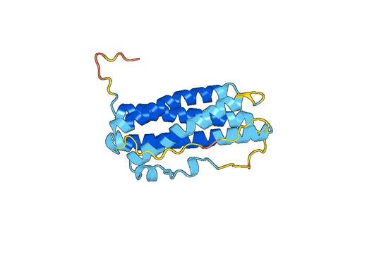 Recombinant Mouse PRL Protein, N-His