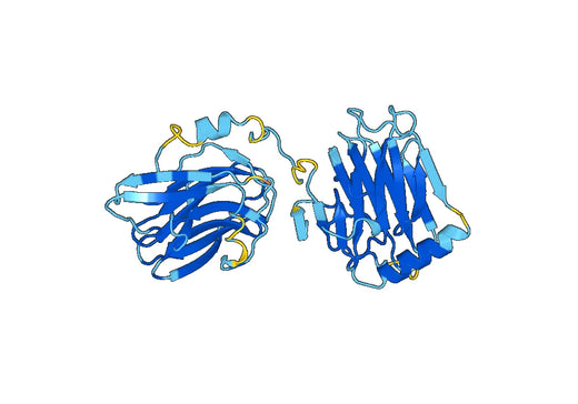 Recombinant Mouse PROS1 Protein, N-His