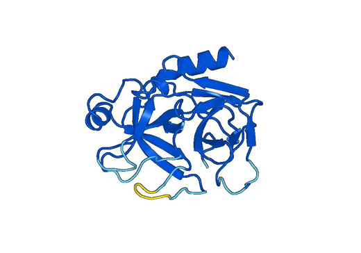 Recombinant Mouse PRSS3 Protein, N-His