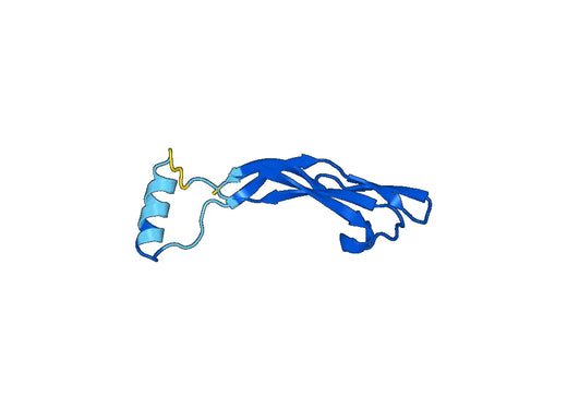 Recombinant Mouse PSPN Protein, N-GST & C-His