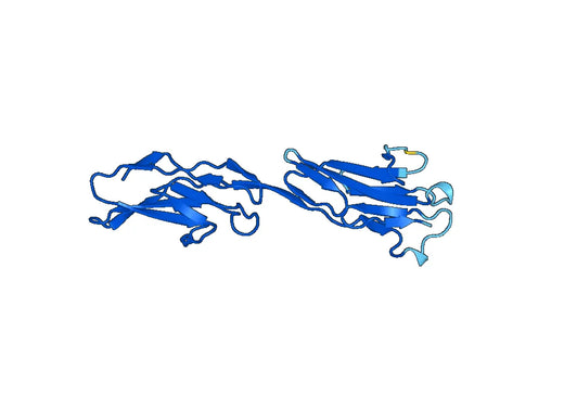 Recombinant Mouse PTK7/CCK-4 Protein, N-His