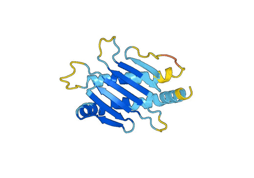Recombinant Mouse RAET1E Protein, N-His