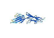 Recombinant Mouse RAGE/AGER Protein, N-His
