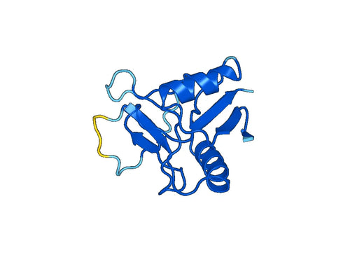Recombinant Mouse REG4 Protein, N-GST & C-His