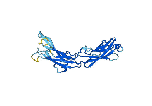 Recombinant Mouse RET/c-RET Protein, N-His