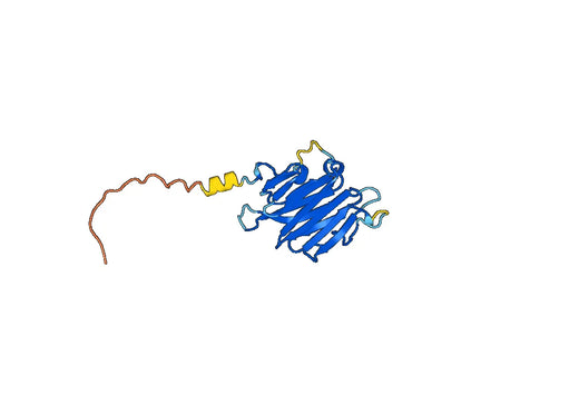 Recombinant Mouse RGMA Protein, N-His