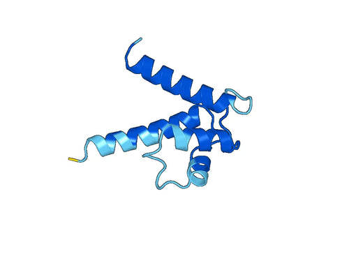Recombinant Mouse S100A8 Protein, N-His-SUMO