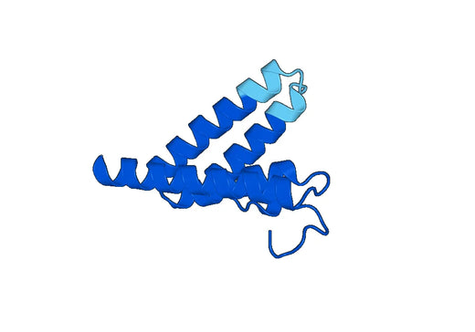 Recombinant Mouse SAA1 Protein, N-His-SUMO