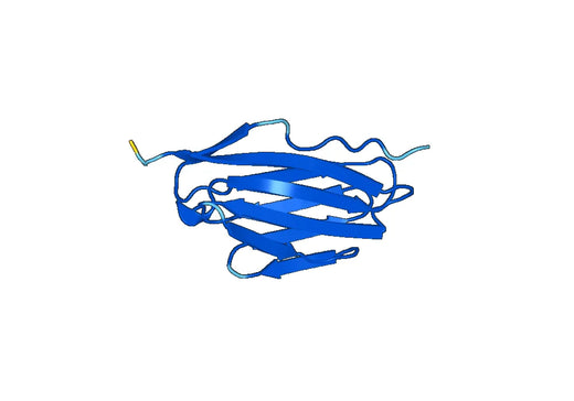 Recombinant Mouse Sectm1a Protein, N-His