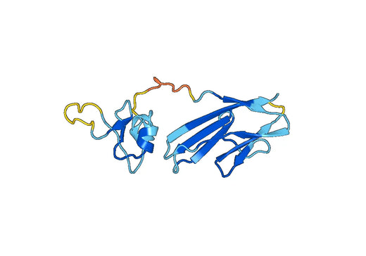 Recombinant Mouse SEMA4B Protein, N-His
