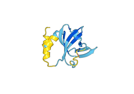 Recombinant Mouse SFRP2 Protein, N-His-SUMO