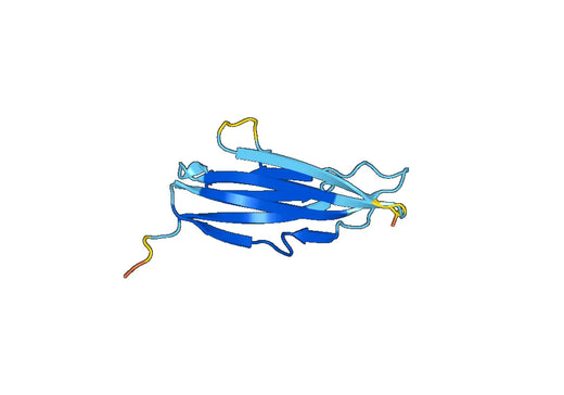 Recombinant Mouse SIGIRR Protein, N-GST & C-His