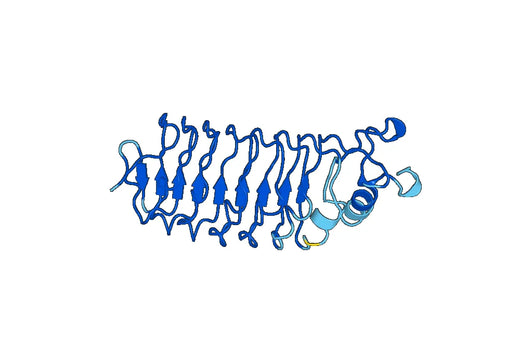Recombinant Mouse SLIT3 Protein, N-His