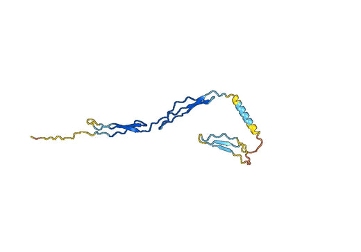 Recombinant Mouse SPON1 Protein, N-His