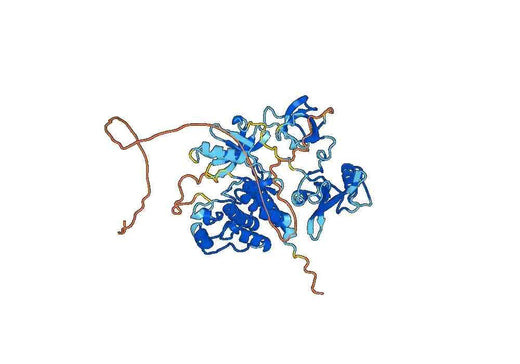Recombinant Mouse SRC Protein, N-His